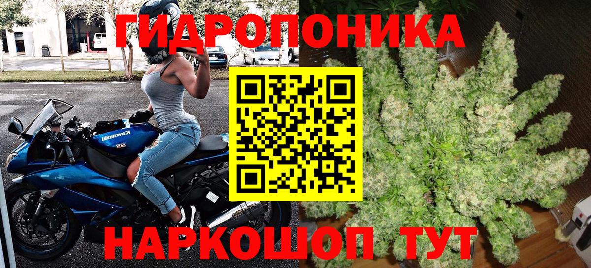 Бошки Шишки план Абинск